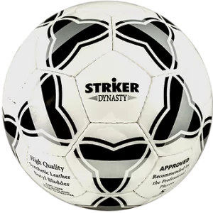 Pelota Dinasty Nº5 Blanca